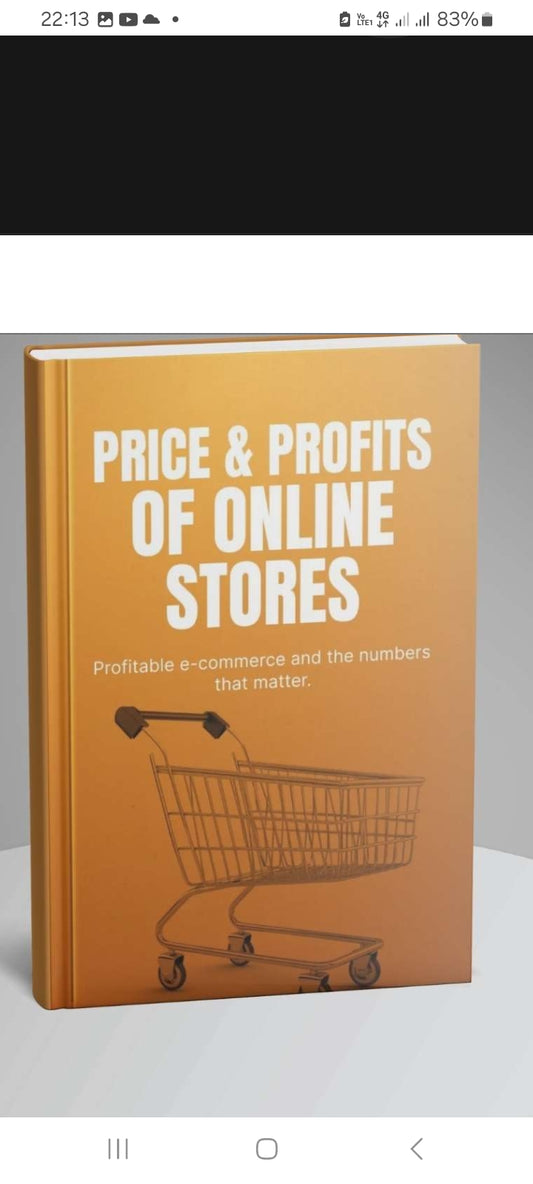 Price and Profits of online store